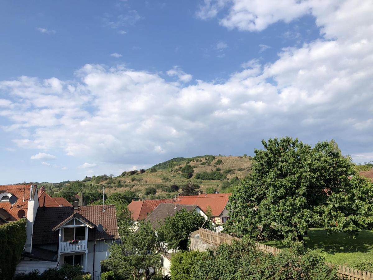Ferienhaus Irene Vogtsburg Ngoại thất bức ảnh